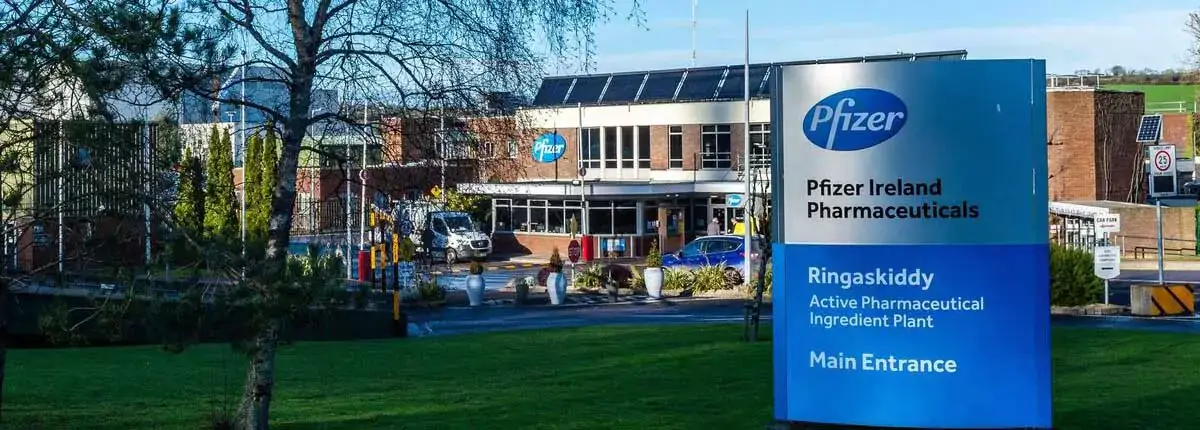 Pfizer Inchera