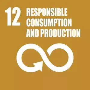 Responsible Consumption & Production