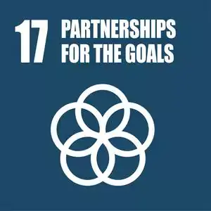 Partnerships For The Goals